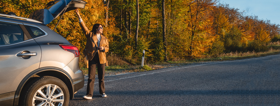 Auto_Fall-Banner Auto_Fall-Banner